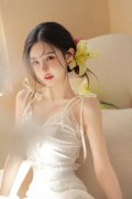 成立涉外法令办事专家